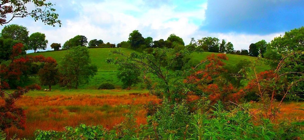 Fortview House Redhills Bagian luar foto